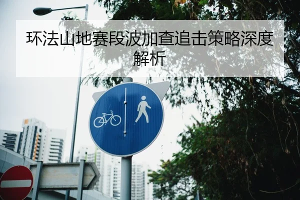 环法山地赛段波加查追击策略深度解析