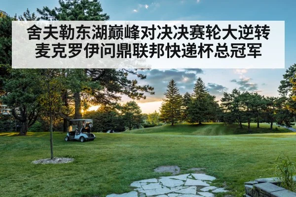 舍夫勒东湖巅峰对决决赛轮大逆转麦克罗伊问鼎联邦快递杯总冠军