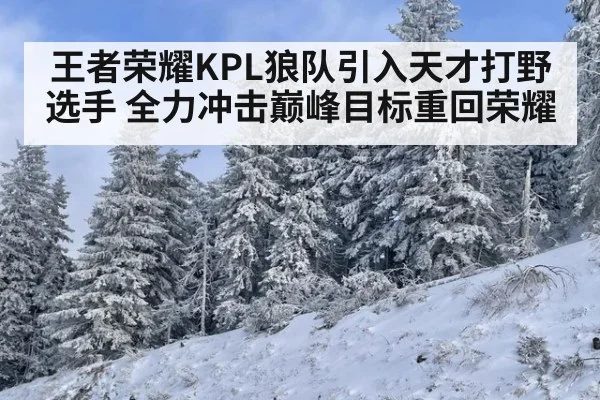 王者荣耀KPL狼队引入天才打野选手 全力冲击巅峰目标重回荣耀